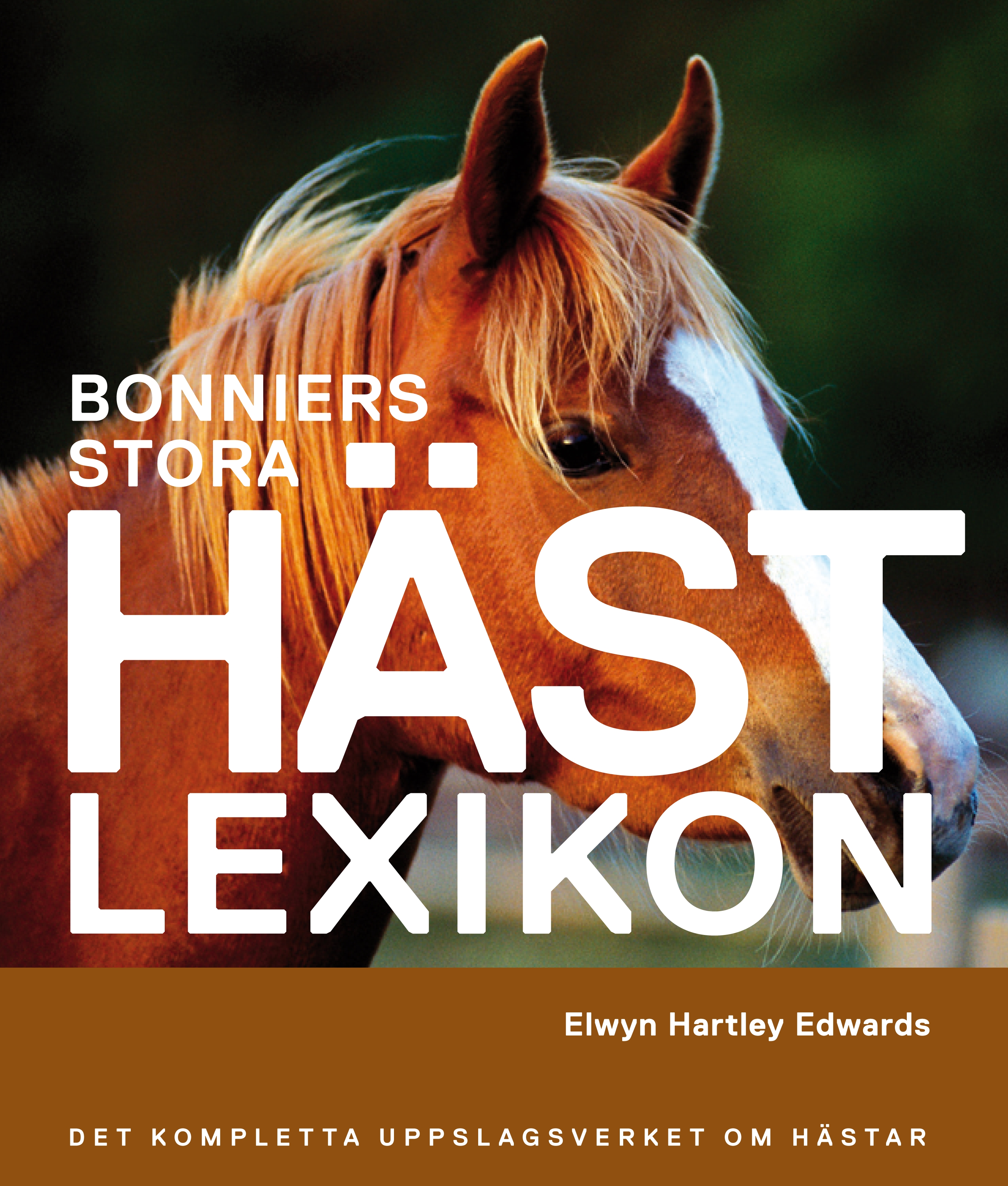 Bonniers Stora Lexikon